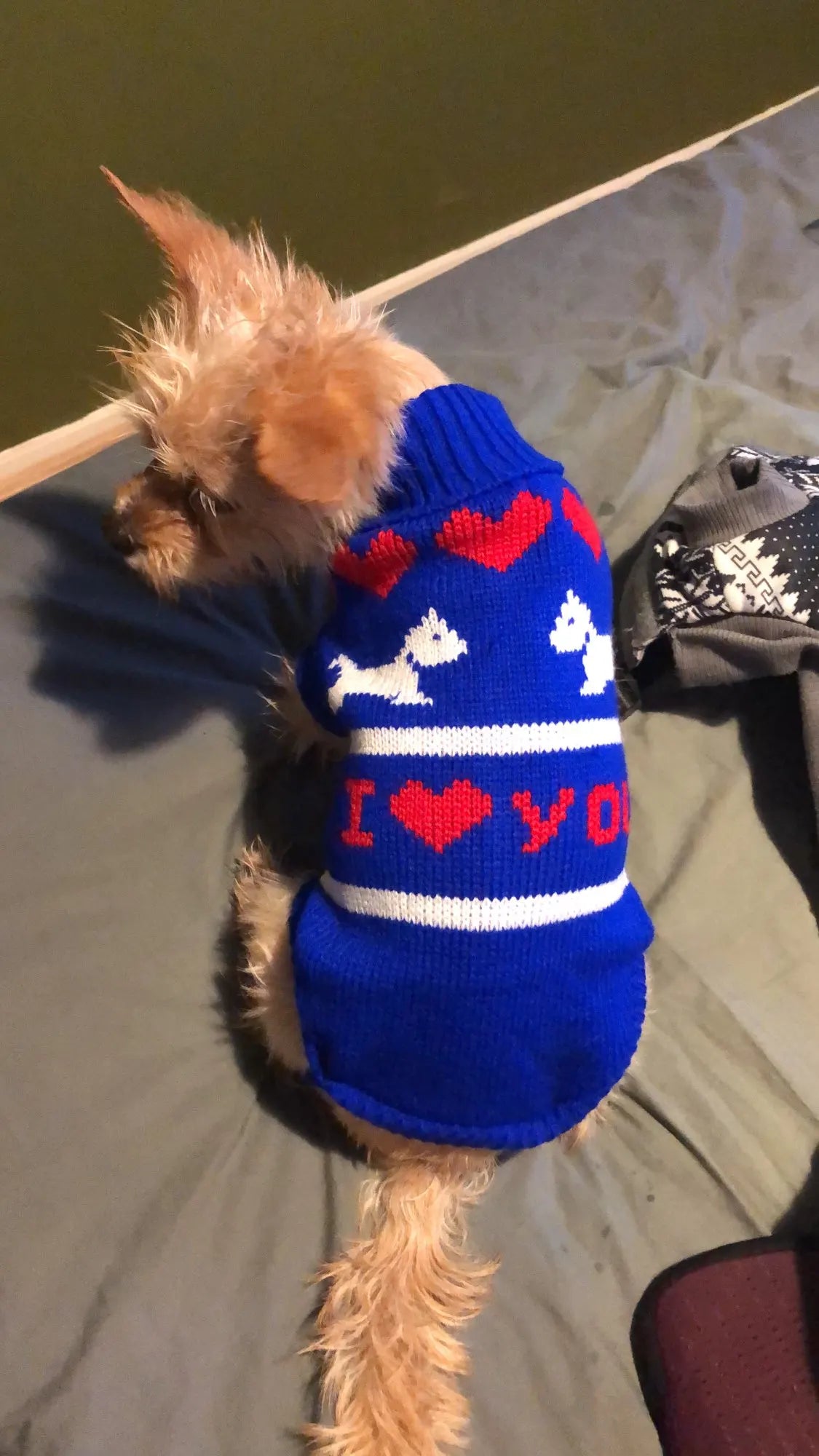 Pet Clothes Knitted Sweater