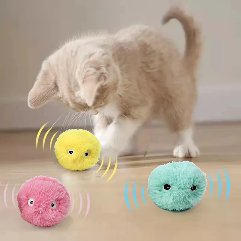 Smart Interactive Toy Ball