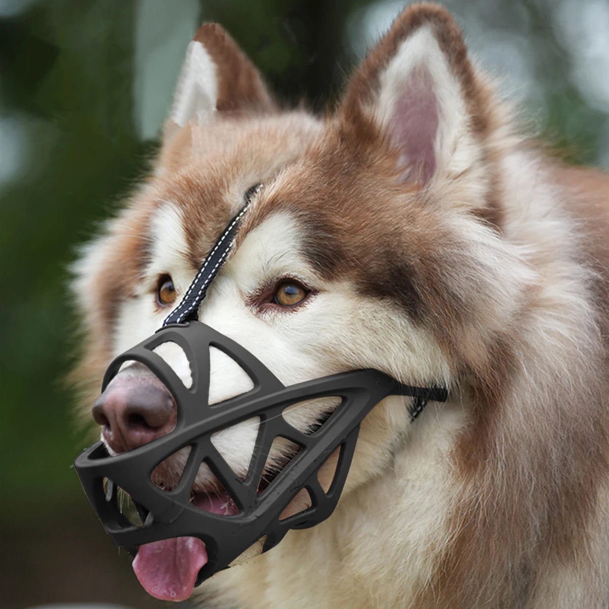 Adjustable Dog Muzzle Anti-Biting