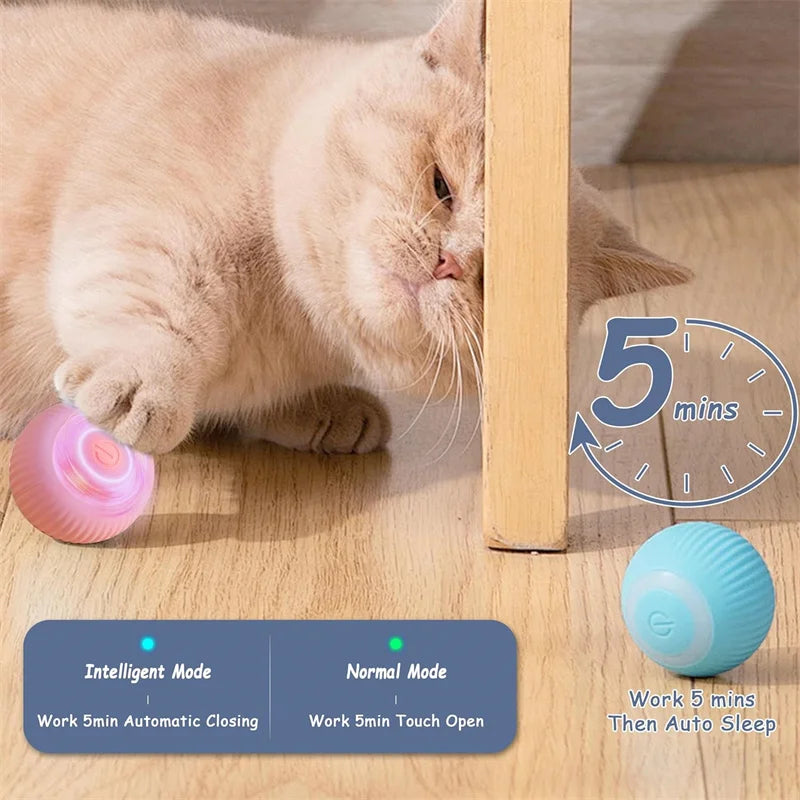 Smart Interactive Toy Ball