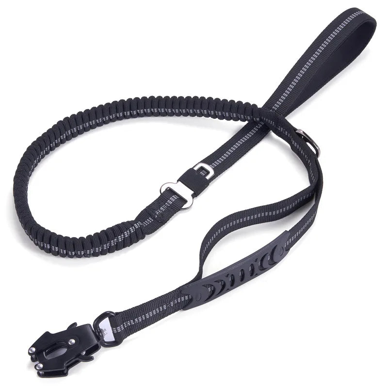 Pet Walking Leash