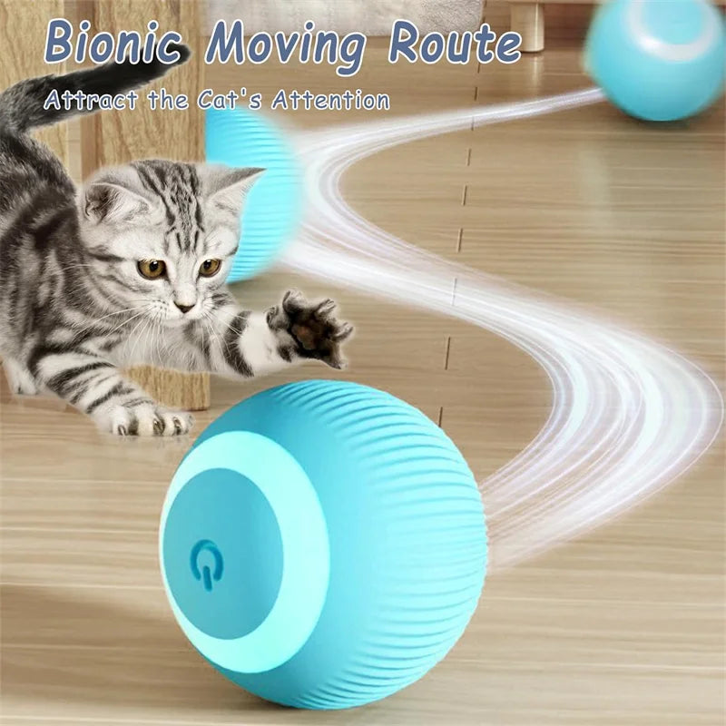 Smart Interactive Toy Ball