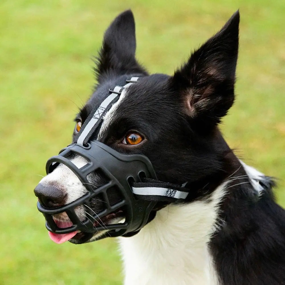 Adjustable Dog Muzzle Anti-Biting