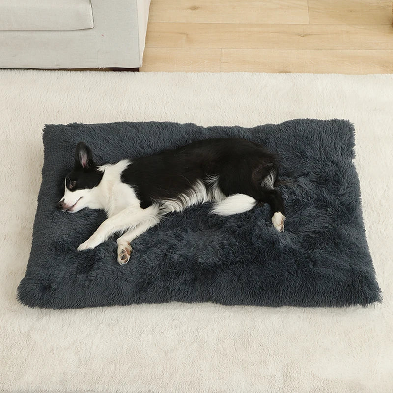 Dog Beds mats